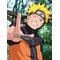 NARUTOが好きな人[D:F9A9]