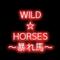 WILD☆HORSES～ﾁﾑ専用