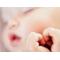[V:5143]ﾏﾏin[V:4530]baby[V:5143]