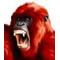 玉には☆ピクルス