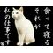 おでん[A:F465]ﾉｼ